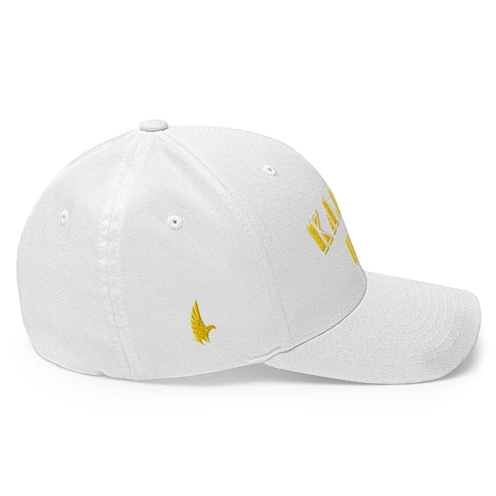 Kamala USA Fitted Hat - Loyalty Vibes