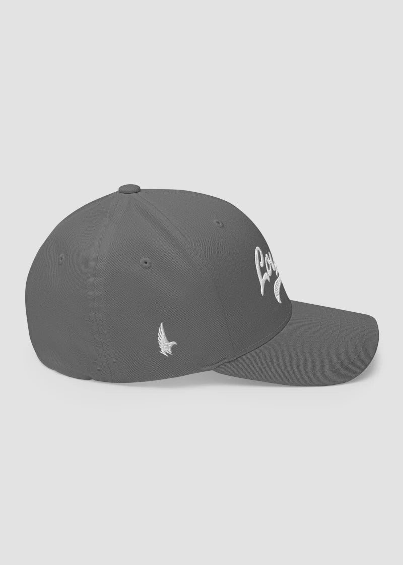 Varsity 21 Fitted Hat Grey - Right - Loyalty Vibes