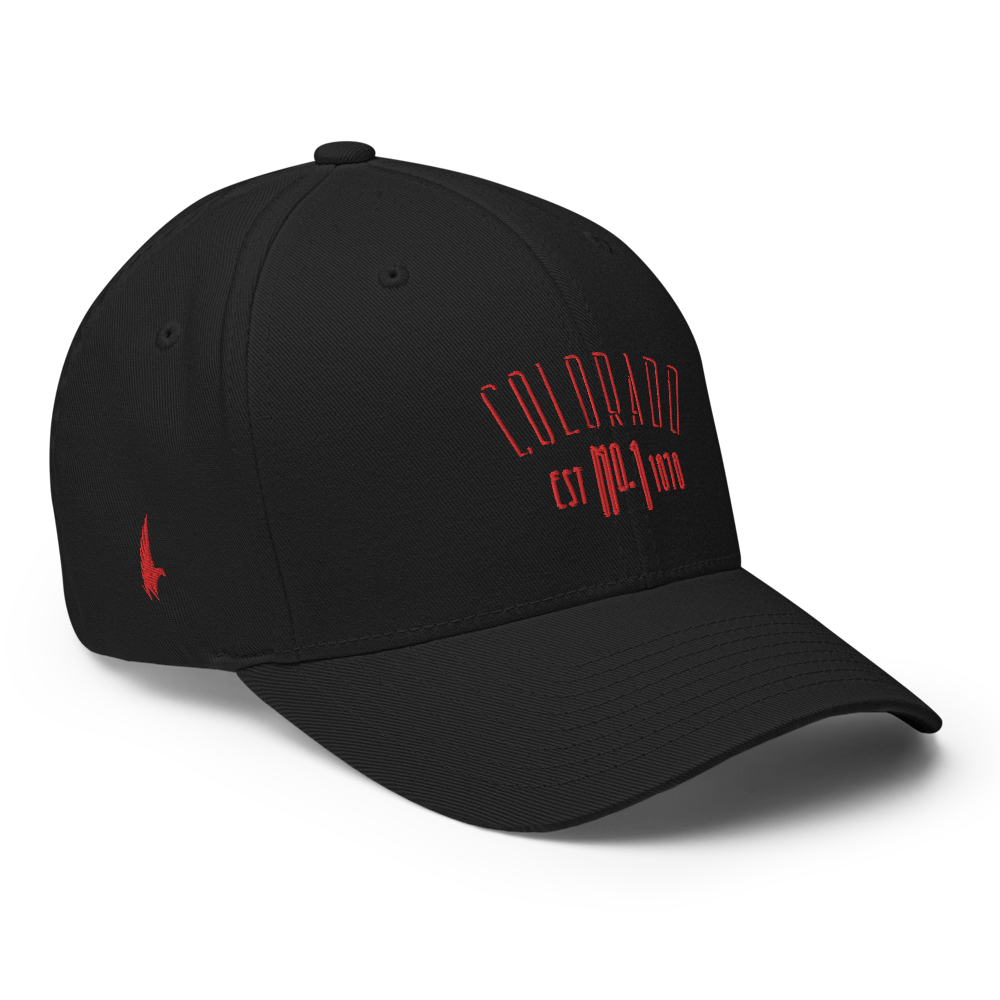 Elite Colorado Fitted Hat Black - Loyalty Vibes