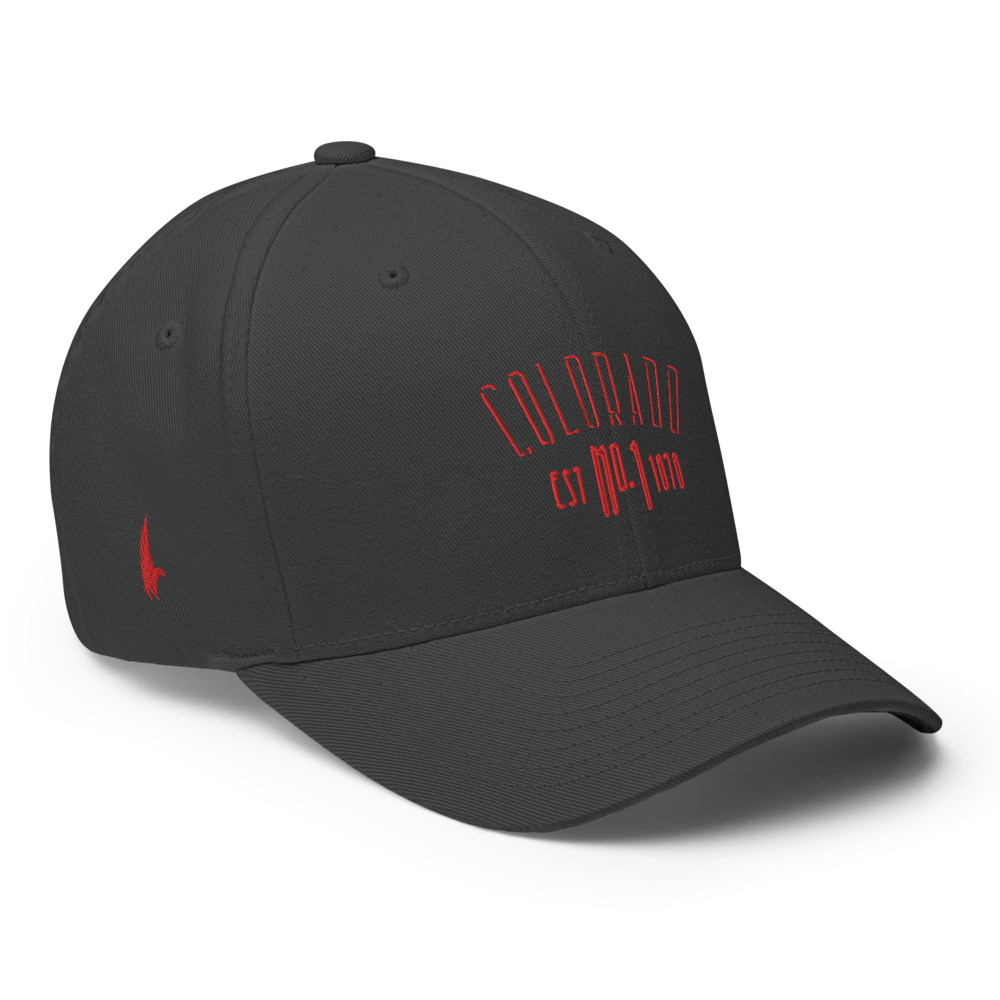 Elite Colorado Fitted Hat Charcoal Grey - Loyalty Vibes