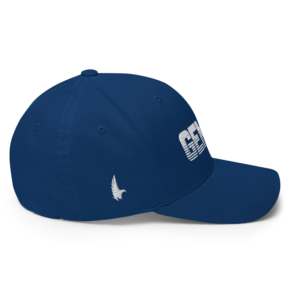 Loyalty Vibes Gemini Fitted Hat Loyalty Vibes