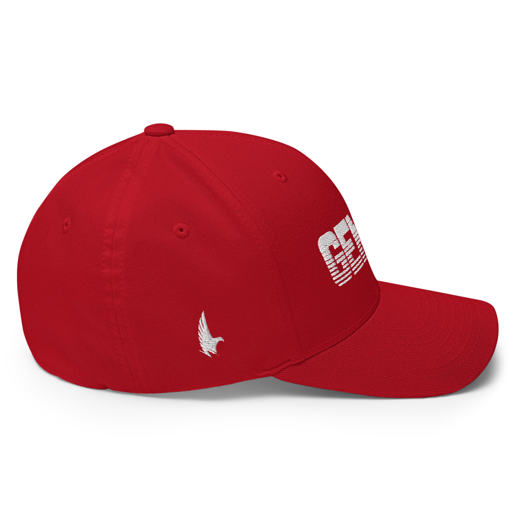 Loyalty Vibes Gemini Fitted Hat Loyalty Vibes