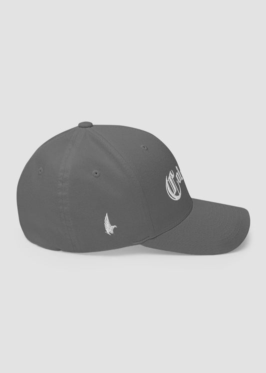 Colorado OG Fitted Hat Grey - Right - Loyalty Vibes