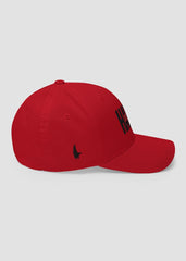 Harris 2024 Fitted Hat - Loyalty Vibes