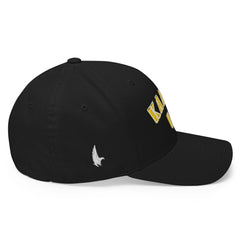 Kamala USA Fitted Hat - Loyalty Vibes