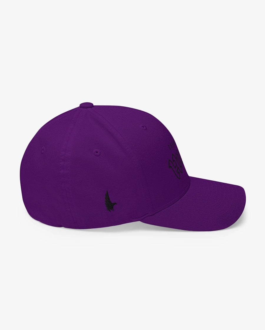 Loyalty Vibes Hustle Fitted Hat Purple Black Right