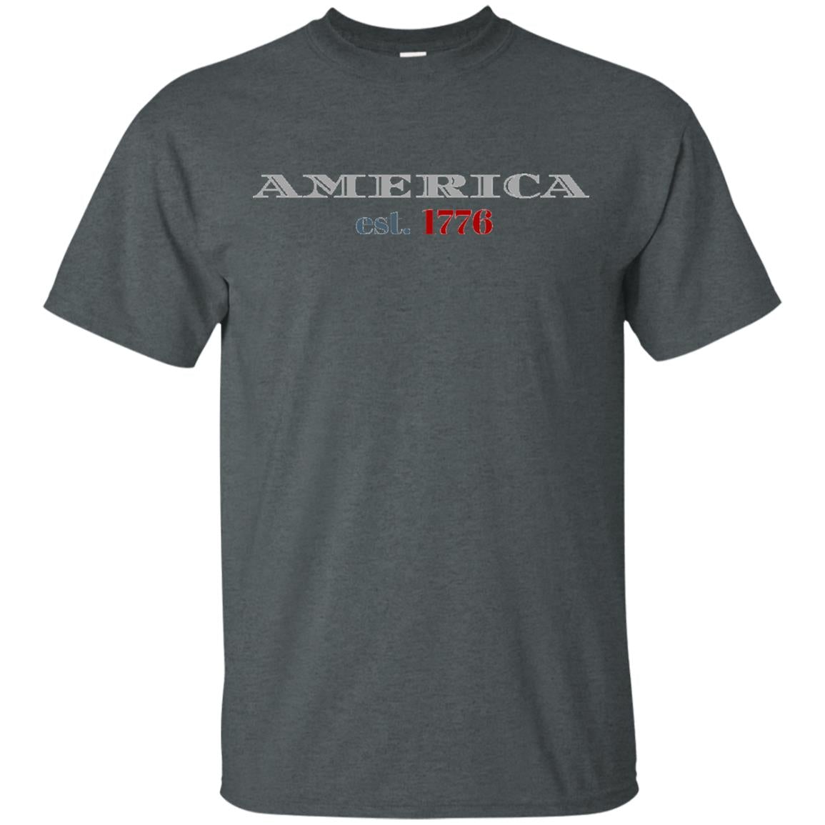 Established America T-Shirt Grey - Loyalty Vibes
