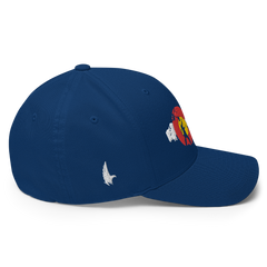Adventures Of Colorado Fitted Hat - Loyalty Vibes