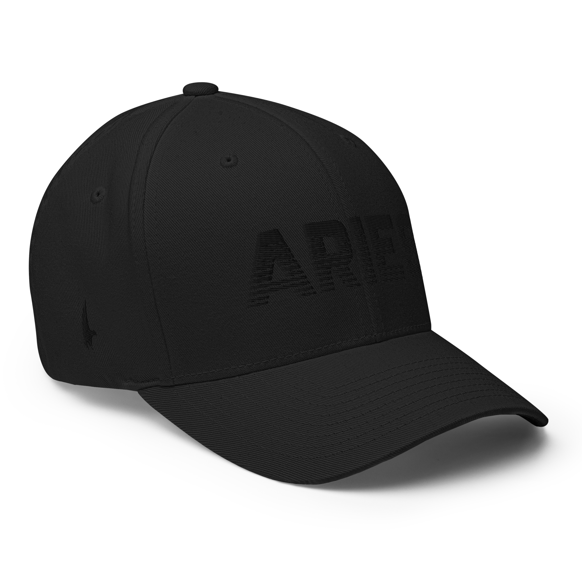Aries Fitted Hat - Black/Black Fitted - Loyalty Vibes
