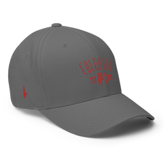 Elite Colorado Fitted Hat Grey - Loyalty Vibes