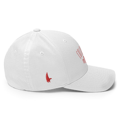 Elite Colorado Fitted Hat - Loyalty Vibes