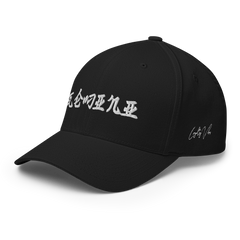 Gemini Rising Fitted Hat - Loyalty Vibes