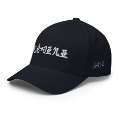 Gemini Rising Fitted Hat - Loyalty Vibes