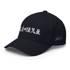 Gemini Rising Fitted Hat - - Loyalty Vibes