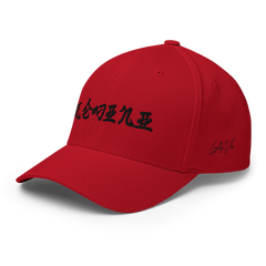 Gemini Rising Fitted Hat - Loyalty Vibes