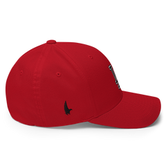 LA Fitted Hat - Loyalty Vibes