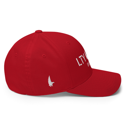 Loyalty Vibes Colorado Unit Fitted Hat Loyalty Vibes