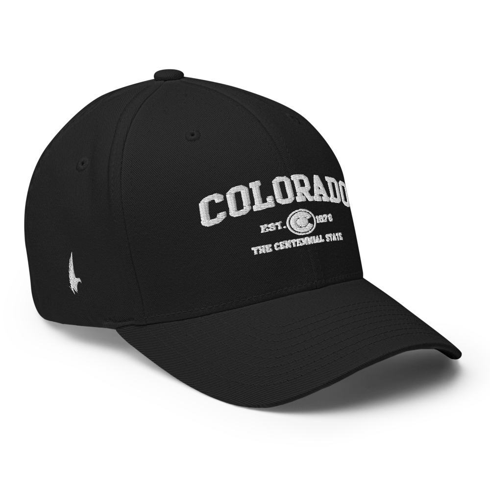 Sportswear Colorado Fitted Hat Black - Loyalty Vibes