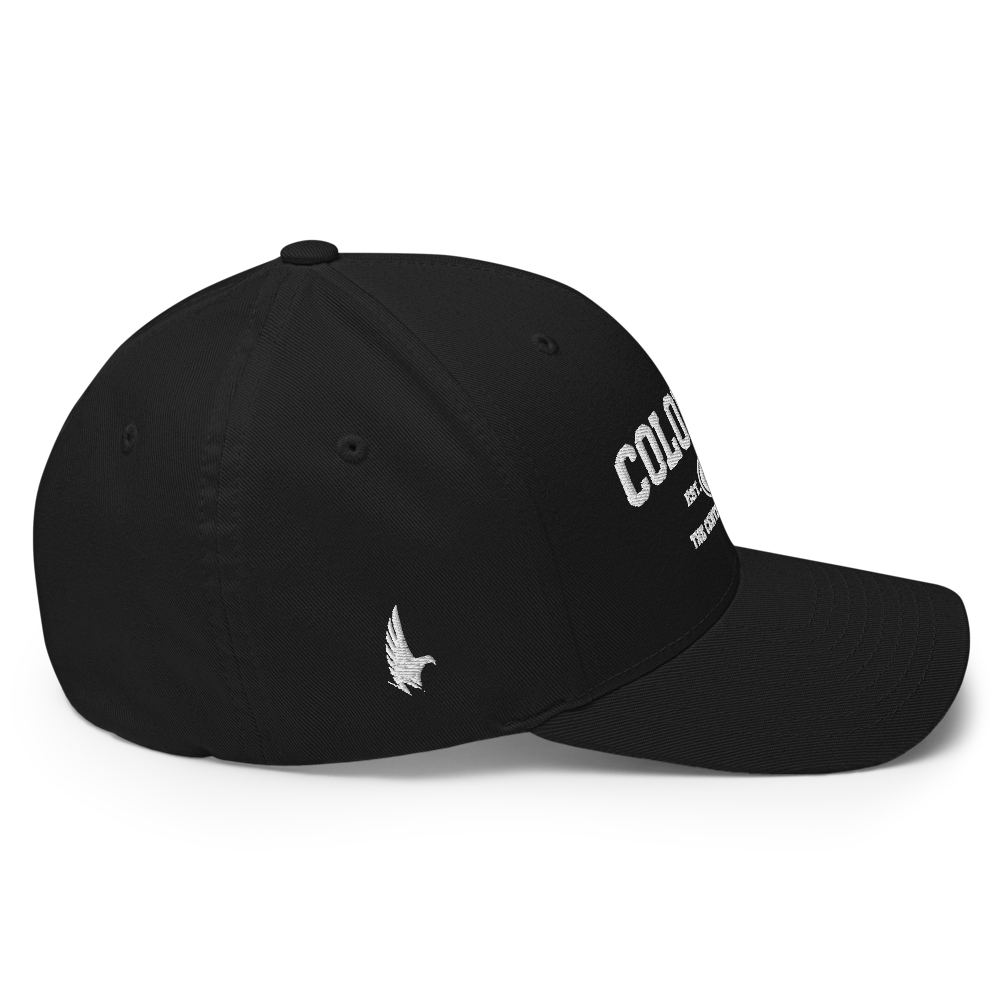 Sportswear Colorado Fitted Hat - Loyalty Vibes