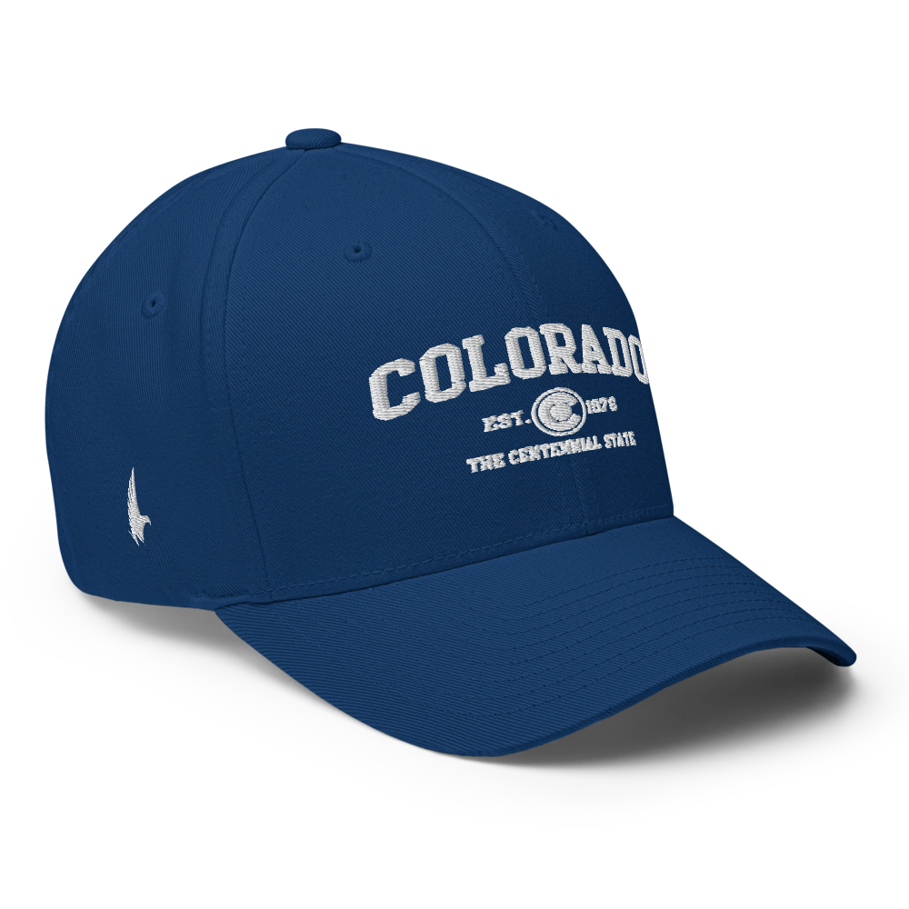 Sportswear Colorado Fitted Hat Blue - Loyalty Vibes