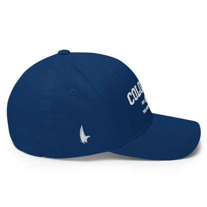 Sportswear Colorado Fitted Hat - Loyalty Vibes