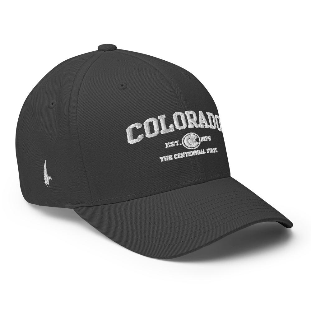 Sportswear Colorado Fitted Hat Charcoal Grey - Loyalty Vibes
