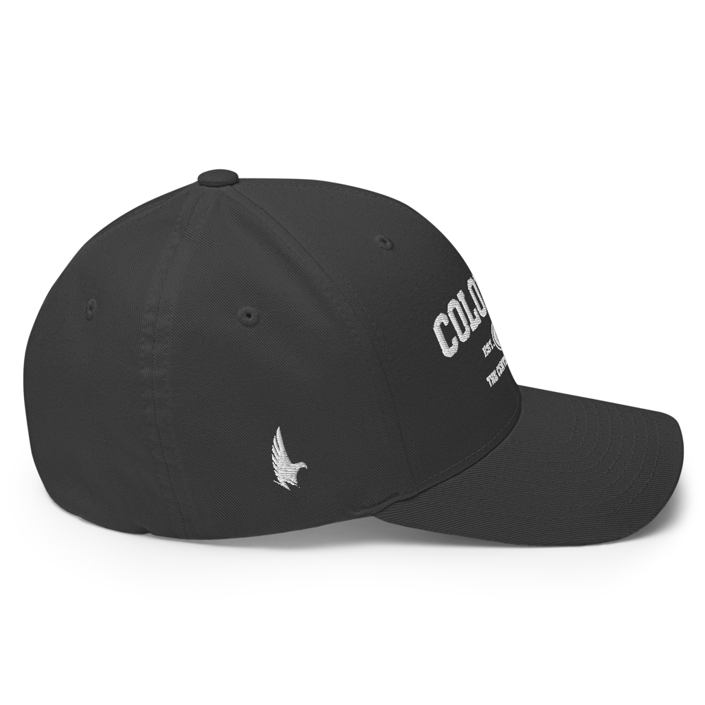 Sportswear Colorado Fitted Hat - Loyalty Vibes