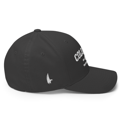 Sportswear Colorado Fitted Hat - Loyalty Vibes