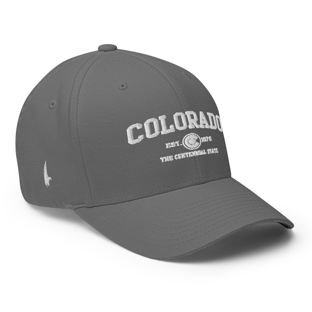 Sportswear Colorado Fitted Hat Grey - Loyalty Vibes