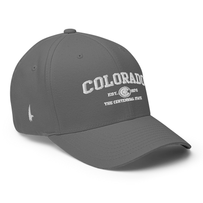 Sportswear Colorado Fitted Hat Grey - Loyalty Vibes
