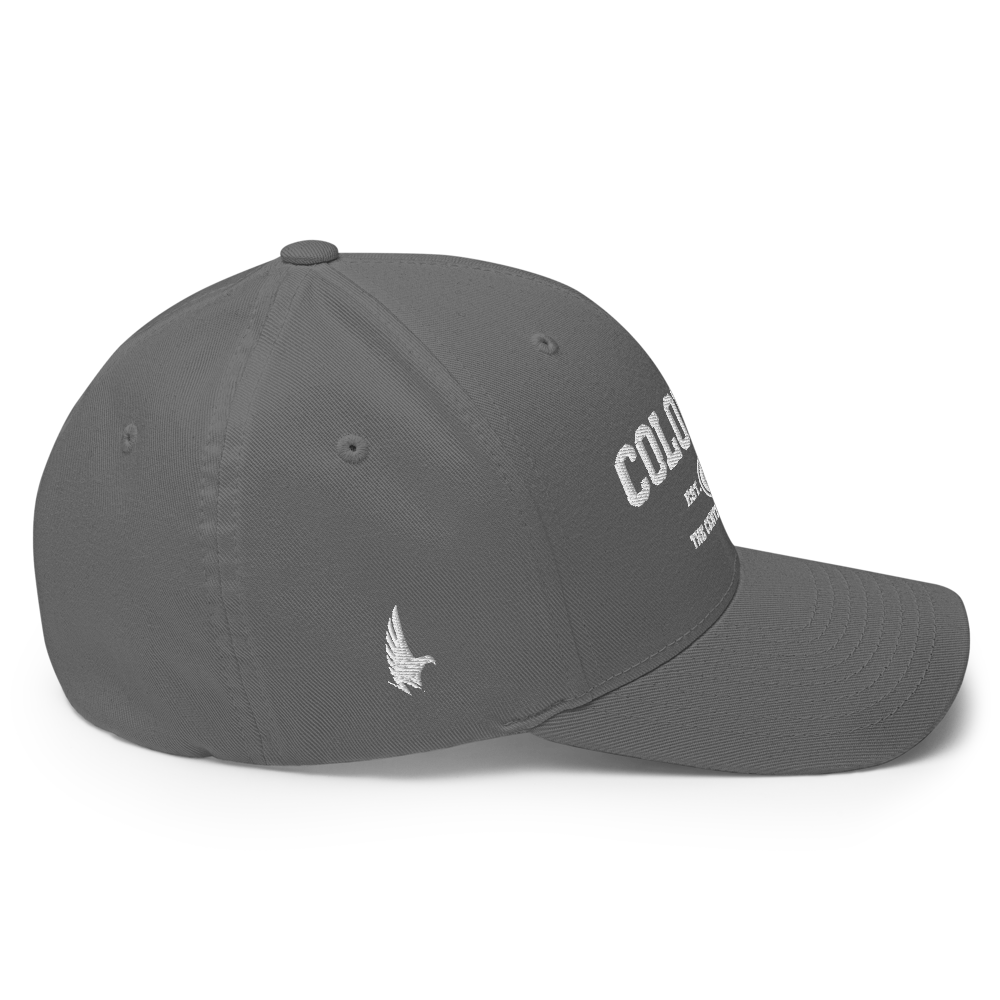 Sportswear Colorado Fitted Hat - Loyalty Vibes
