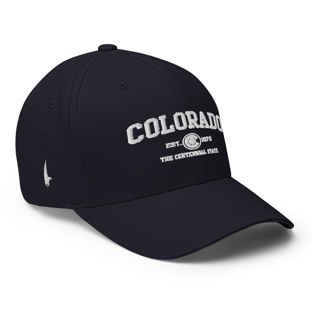 Sportswear Colorado Fitted Hat Navy Blue - Loyalty Vibes