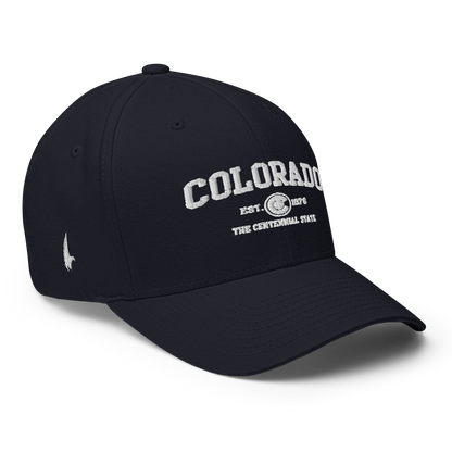 Sportswear Colorado Fitted Hat Navy Blue - Loyalty Vibes