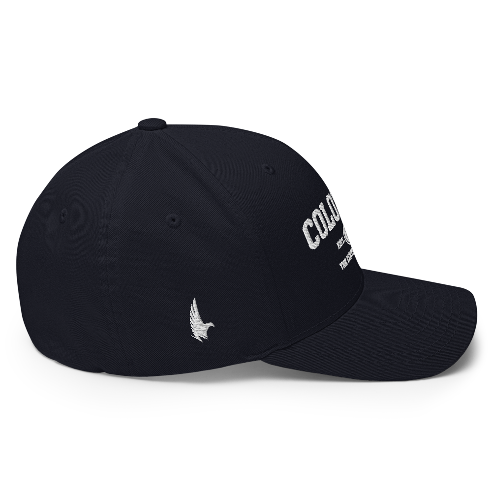 Sportswear Colorado Fitted Hat - Loyalty Vibes