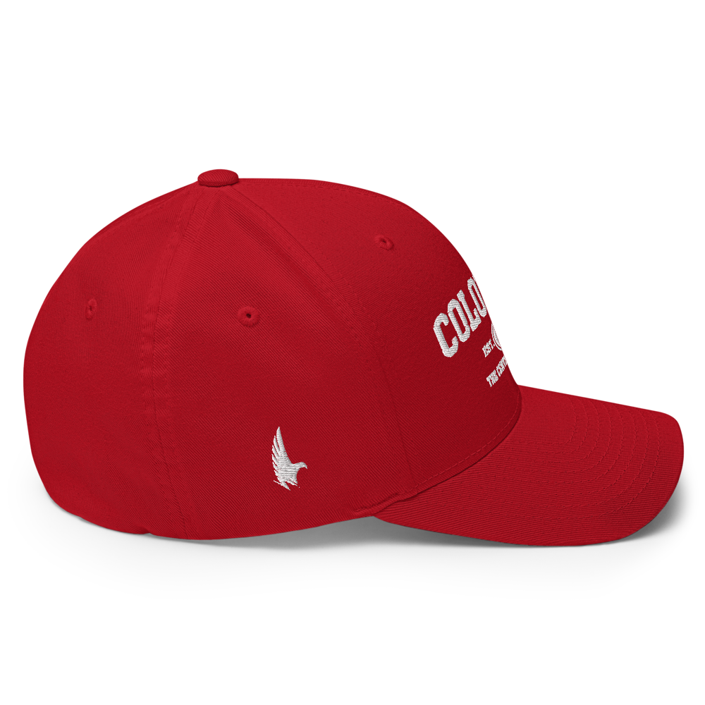 Sportswear Colorado Fitted Hat - Loyalty Vibes