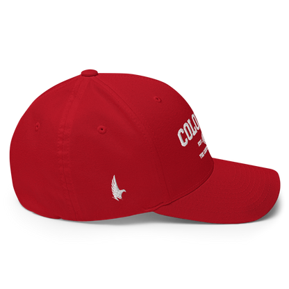 Sportswear Colorado Fitted Hat - Loyalty Vibes