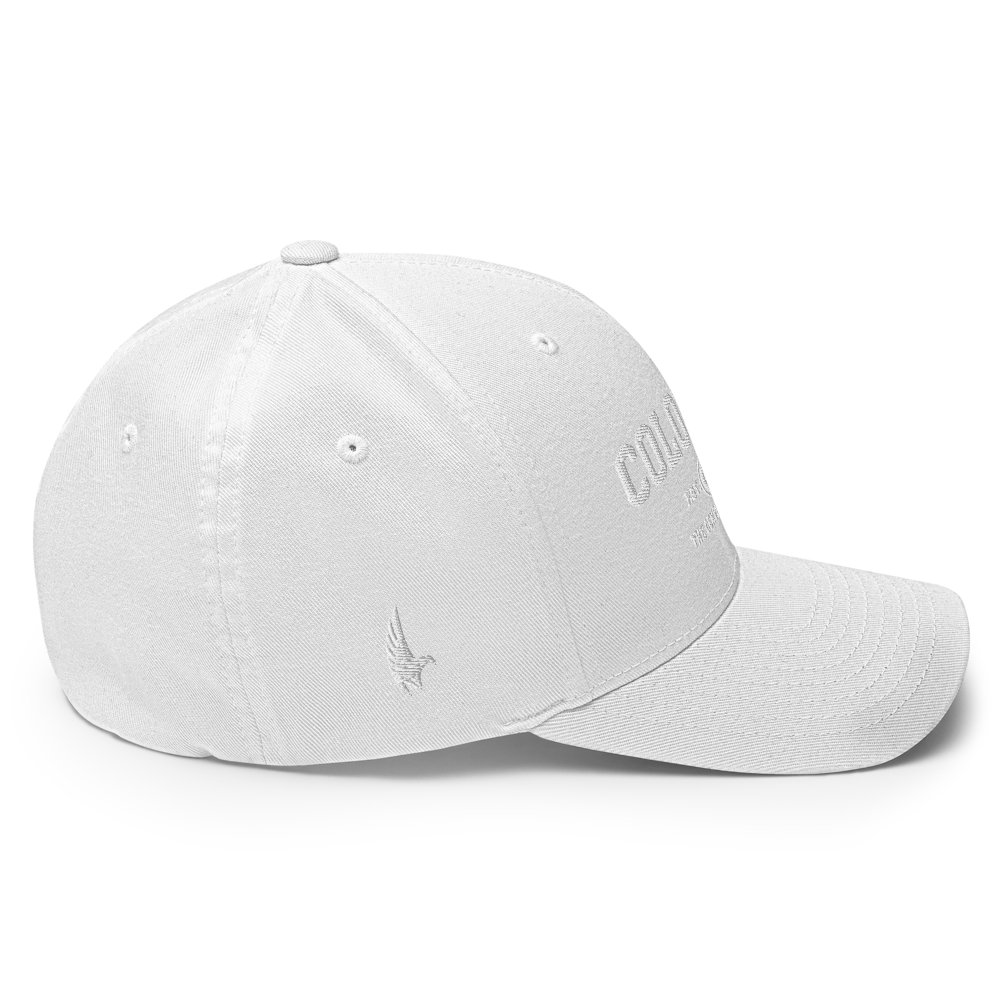 Sportswear Colorado Fitted Hat - Loyalty Vibes